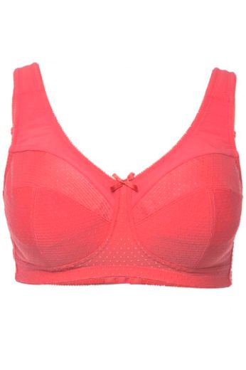 Plus size veliki brojevi Grudnjak Kelly za punije