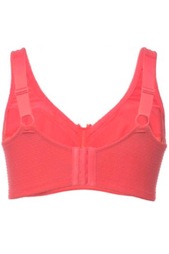 Plus size veliki brojevi Grudnjak Kelly za punije