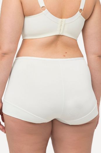 Plus size veliki brojevi Gaćice Hipster elastičnog struka za punije
