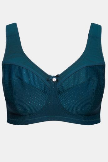 Plus size veliki brojevi Grudnjak Kelly za punije
