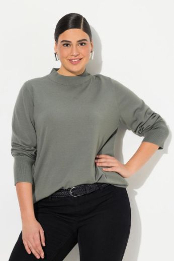 Plus size veliki brojevi Pulover povišenog ovratnika za punije