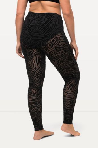 Plus size veliki brojevi Tajice s printom zebre za punije