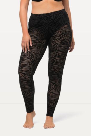 Plus size veliki brojevi Tajice s printom zebre za punije