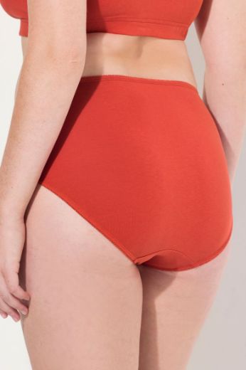 Plus size veliki brojevi Gaćice pamučne srednje visokog kroja za punije