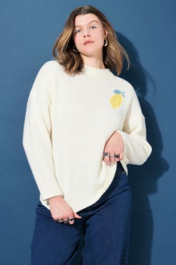 Plus size veliki brojevi Pulover dugih rukava za punije