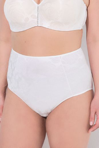 Plus size veliki brojevi Gaćice maxi visokog struka za punije