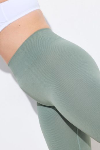 Plus size veliki brojevi Tajice kratkih nogavica za punije