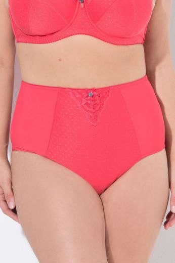Plus size veliki brojevi Gaćice maxi visokog struka za punije