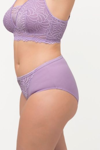 Plus size veliki brojevi Gaćice od mikrofibre s dodatkom ukrasne čipke za punije