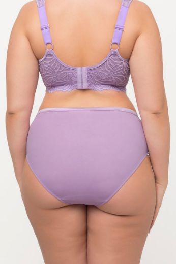 Plus size veliki brojevi Gaćice od mikrofibre s dodatkom ukrasne čipke za punije