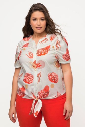 Plus size veliki brojevi Bluza kratkih rukava za punije