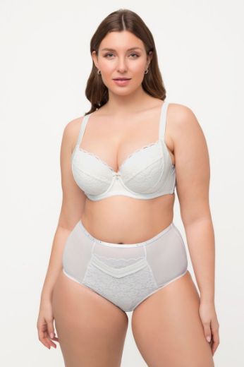 Plus size veliki brojevi Gaćice maxi visokog struka za punije