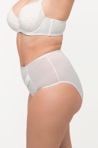 Plus size veliki brojevi Gaćice maxi visokog struka za punije