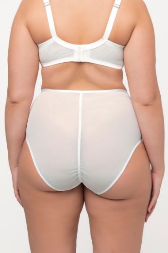 Plus size veliki brojevi Gaćice maxi visokog struka za punije