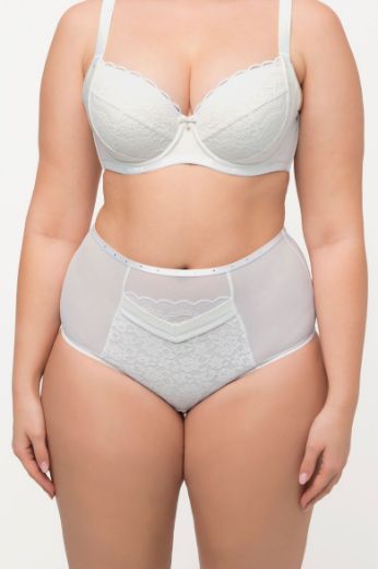 Plus size veliki brojevi Gaćice maxi visokog struka za punije