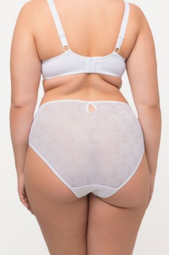 Plus size veliki brojevi Gaćice midi za punije