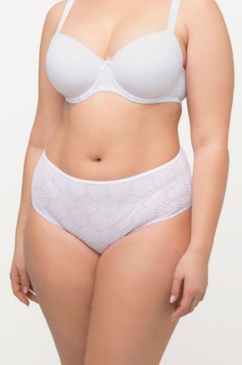 Plus size veliki brojevi Gaćice midi za punije