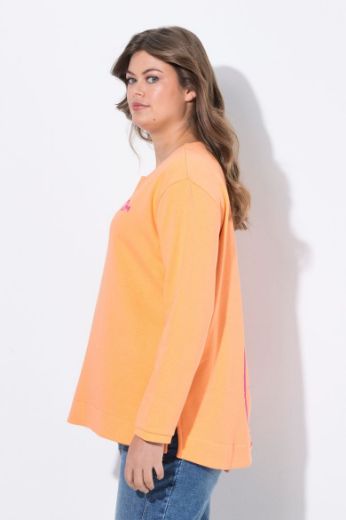 Plus size veliki brojevi Majica dugih rukava V ovratnika za punije