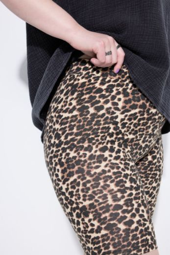 Plus size veliki brojevi Tajice kratkih nogavica  s leopard uzorkom za punije