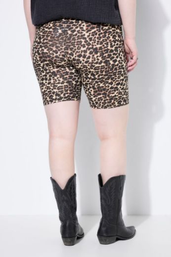 Plus size veliki brojevi Tajice kratkih nogavica  s leopard uzorkom za punije