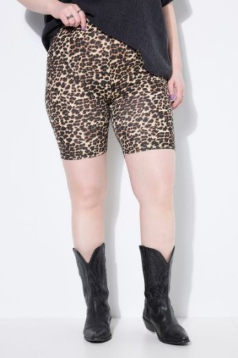 Plus size veliki brojevi Tajice kratkih nogavica  s leopard uzorkom za punije