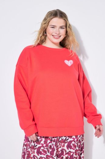 Plus size veliki brojevi Pulover dugih rukava okruglog ovratnika za punije