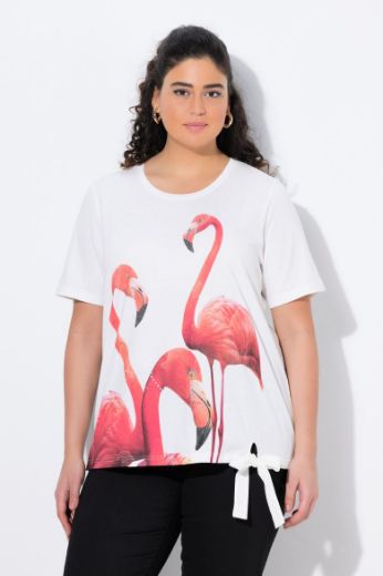 Plus size veliki brojevi Majica kratkih rukava okruglog ovratnika za punije