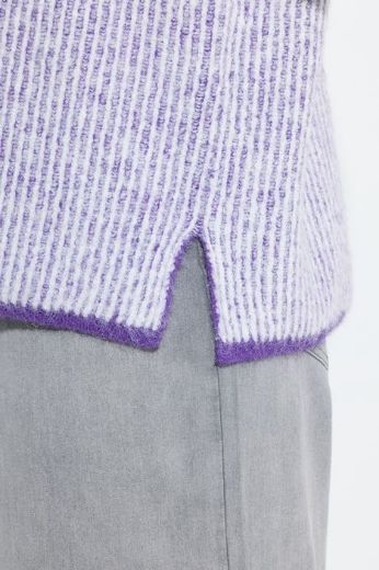 Plus size veliki brojevi Pulover dugih rukava s polu patentnim zatvaračem za punije