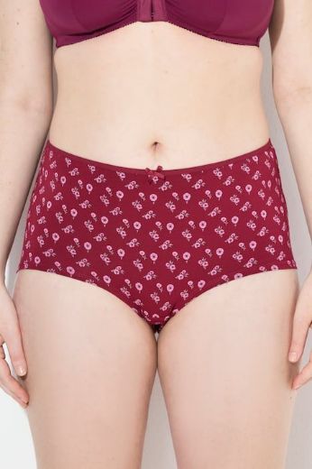 Plus size veliki brojevi Gaćice hipster 3 komada za punije