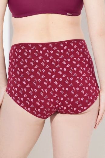 Plus size veliki brojevi Gaćice hipster 3 komada za punije