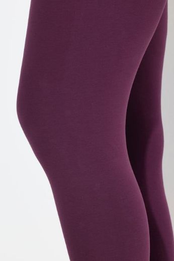 Plus size veliki brojevi Tajice za punije