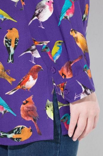 Plus size veliki brojevi Bluza dugih rukava s motivom ptica za punije