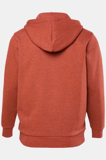 Plus size veliki brojevi Majica dugih rukava s patentim zatvaračem i kapuljačom za punije