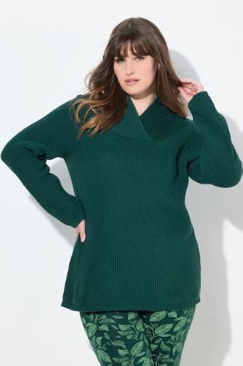 Plus size veliki brojevi Pulover dugih rukava za punije