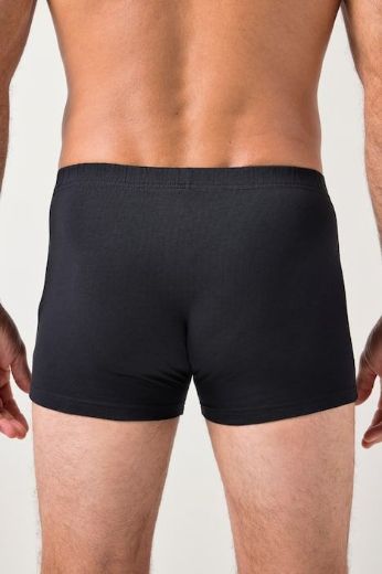Plus size veliki brojevi Bokserice 2 komada za punije
