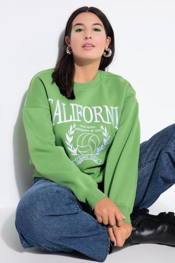 Plus size veliki brojevi Majica dugih rukava šireg kroja za punije