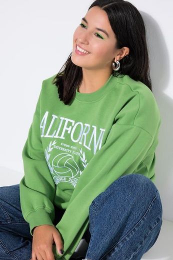 Plus size veliki brojevi Majica dugih rukava šireg kroja za punije