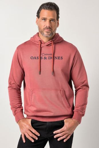 Plus size veliki brojevi Majica dugih rukava sa kapuljačom za punije