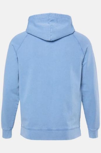 Plus size veliki brojevi Majica dugih rukava s kapuljačom za punije