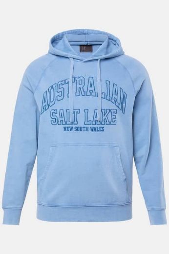 Plus size veliki brojevi Majica dugih rukava s kapuljačom za punije