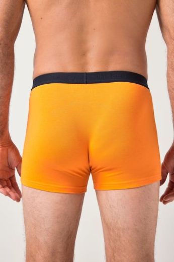 Plus size veliki brojevi Gaće 3 u paketu za punije