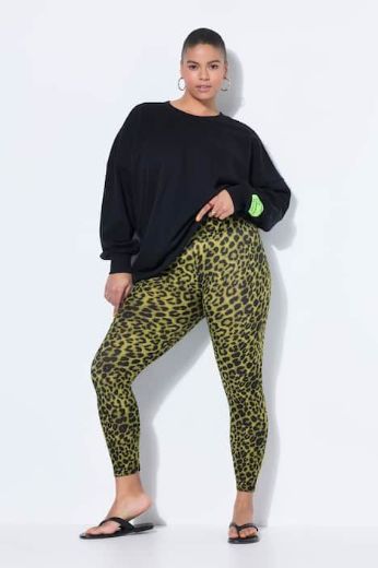 Plus size veliki brojevi Tajice visokog struka za punije