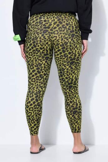 Plus size veliki brojevi Tajice visokog struka za punije