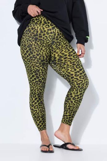 Plus size veliki brojevi Tajice visokog struka za punije