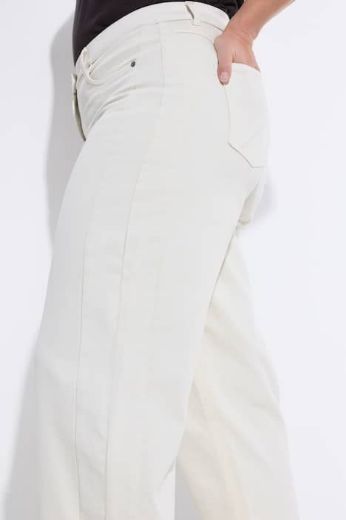 Plus size veliki brojevi Hlače širokih nogavica traper za punije