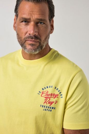 Plus size veliki brojevi Majica kratkih rukava za punije