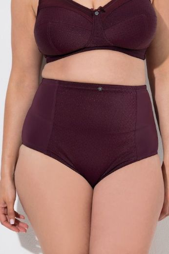 Plus size veliki brojevi Gaćice visokog struka za punije