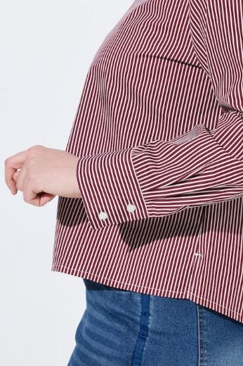 Plus size veliki brojevi Košulja dugih rukava na pruge s kragnom i ukrasnim printom za punije