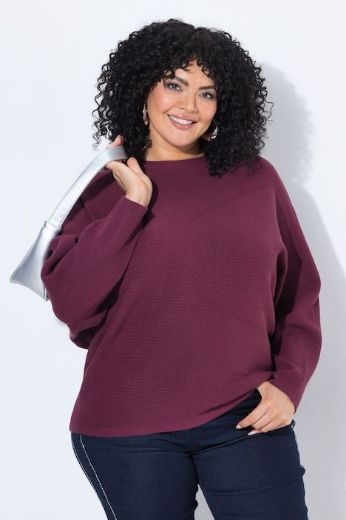 Plus size veliki brojevi Pulover dugih rukava za punije