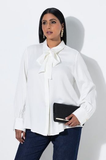 Plus size veliki brojevi Bluza dugih rukava za punije